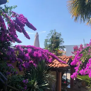  Apartment Ana